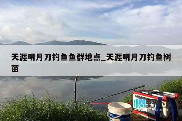 天涯明月刀钓鱼鱼群地点_天涯明月刀钓鱼树苗