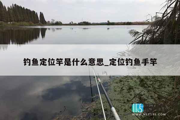 钓鱼定位竿是什么意思_定位钓鱼手竿