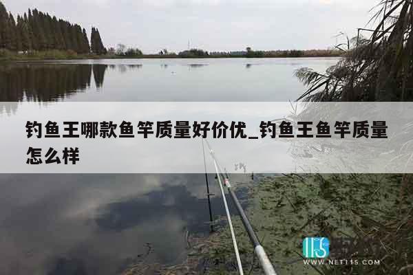 钓鱼王哪款鱼竿质量好价优_钓鱼王鱼竿质量怎么样