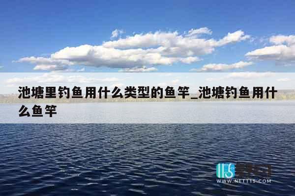 池塘里钓鱼用什么类型的鱼竿_池塘钓鱼用什么鱼竿