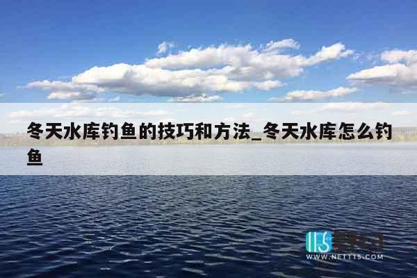 冬天水库钓鱼的技巧和方法_冬天水库怎么钓鱼