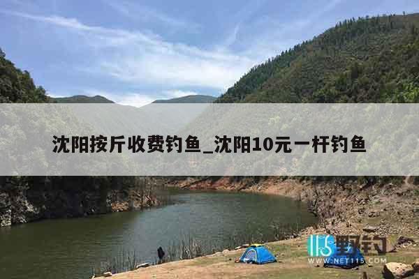 沈阳按斤收费钓鱼_沈阳10元一杆钓鱼