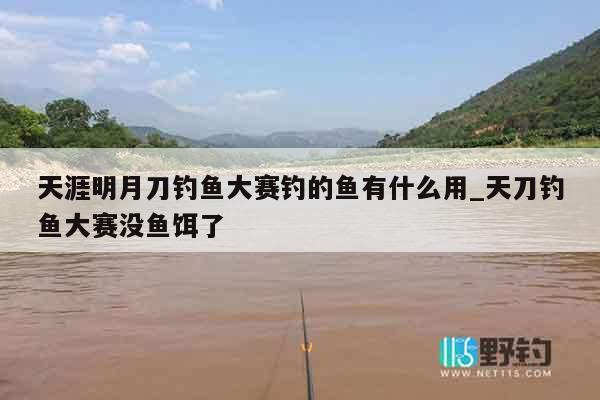 天涯明月刀钓鱼大赛钓的鱼有什么用_天刀钓鱼大赛没鱼饵了