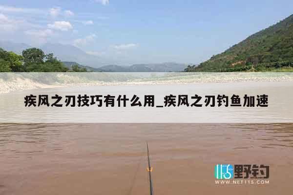 疾风之刃技巧有什么用_疾风之刃钓鱼加速