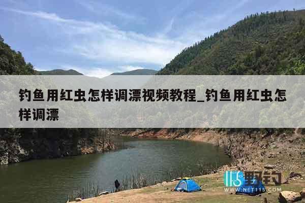 钓鱼用红虫怎样调漂视频教程_钓鱼用红虫怎样调漂