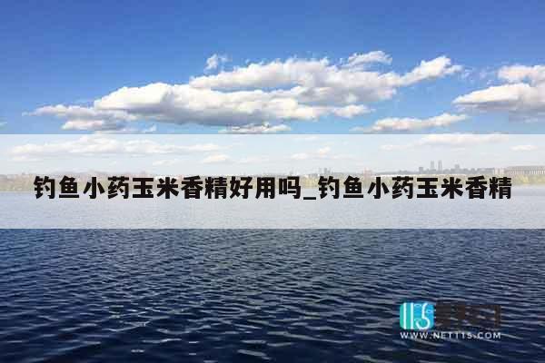 钓鱼小药玉米香精好用吗_钓鱼小药玉米香精