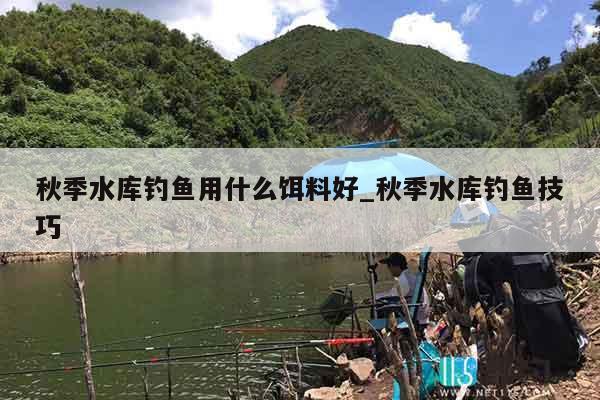 秋季水库钓鱼用什么饵料好_秋季水库钓鱼技巧