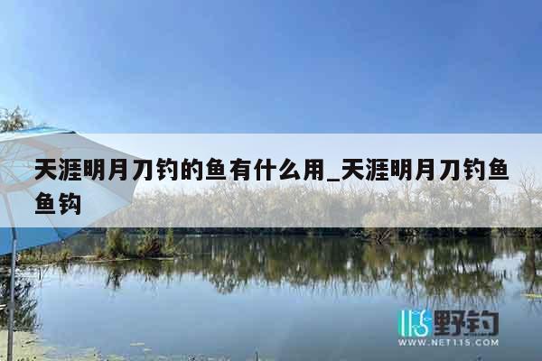 天涯明月刀钓的鱼有什么用_天涯明月刀钓鱼鱼钩