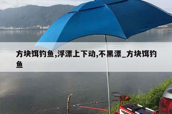 方块饵钓鱼,浮漂上下动,不黑漂_方块饵钓鱼