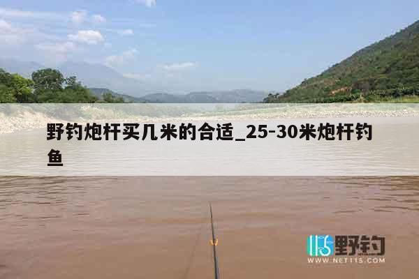野钓炮杆买几米的合适_25-30米炮杆钓鱼