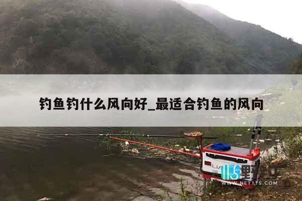 钓鱼钓什么风向好_最适合钓鱼的风向
