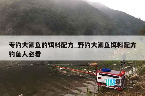 专钓大鲫鱼的饵料配方_野钓大鲫鱼饵料配方钓鱼人必看