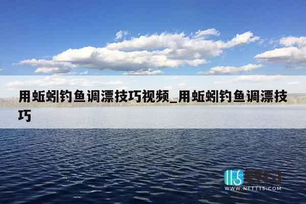 用蚯蚓钓鱼调漂技巧视频_用蚯蚓钓鱼调漂技巧