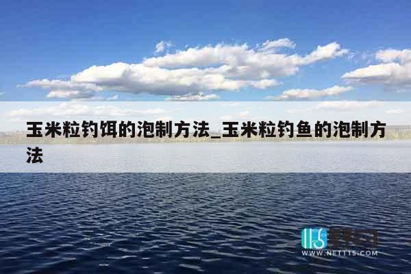 玉米粒钓饵的泡制方法_玉米粒钓鱼的泡制方法