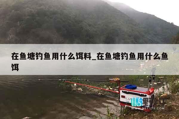 在鱼塘钓鱼用什么饵料_在鱼塘钓鱼用什么鱼饵