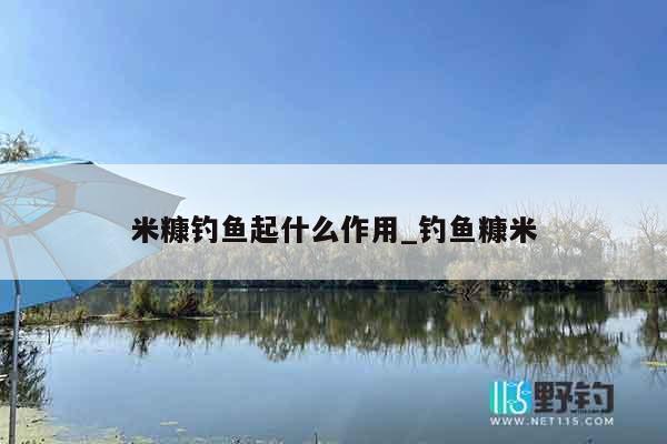 米糠钓鱼起什么作用_钓鱼糠米