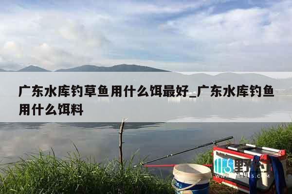 广东水库钓草鱼用什么饵最好_广东水库钓鱼用什么饵料