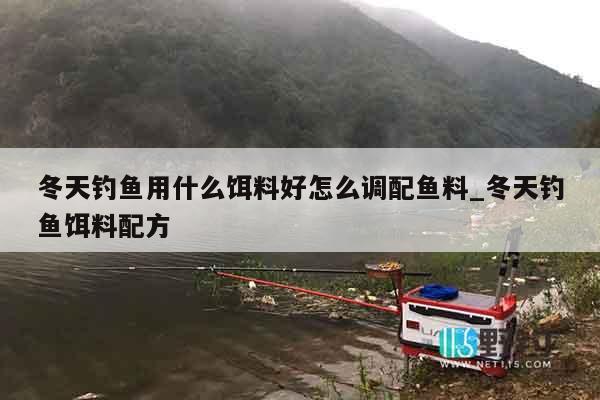 冬天钓鱼用什么饵料好怎么调配鱼料_冬天钓鱼饵料配方