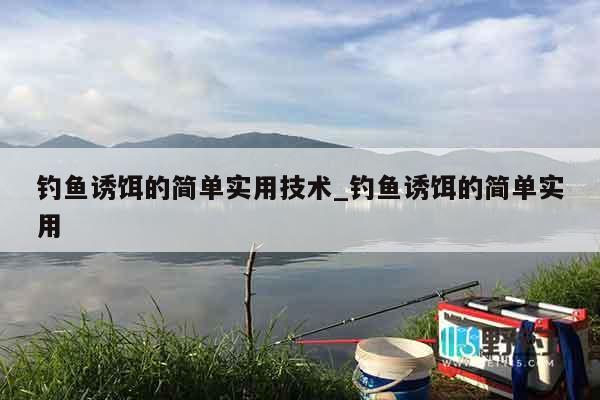 钓鱼诱饵的简单实用技术_钓鱼诱饵的简单实用