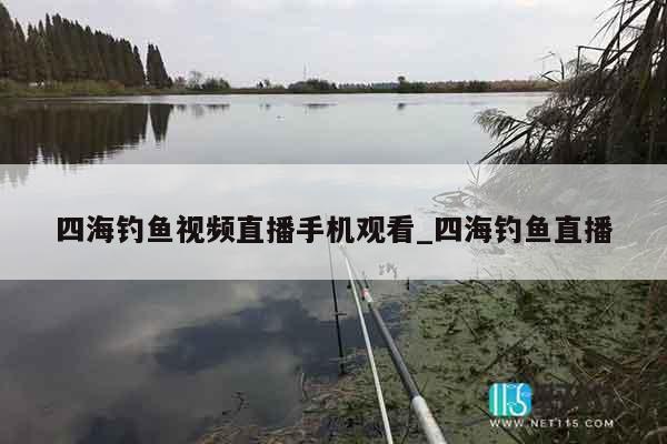 四海钓鱼视频直播手机观看_四海钓鱼直播