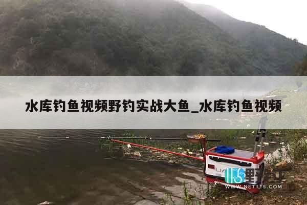 水库钓鱼视频野钓实战大鱼_水库钓鱼视频
