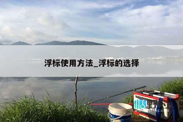 浮标使用方法_浮标的选择