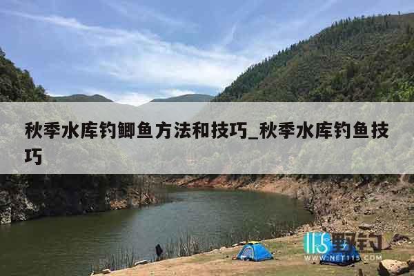 秋季水库钓鲫鱼方法和技巧_秋季水库钓鱼技巧