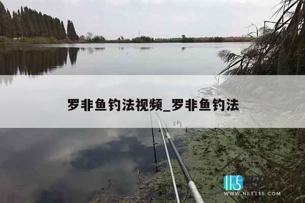 罗非鱼钓法视频_罗非鱼钓法