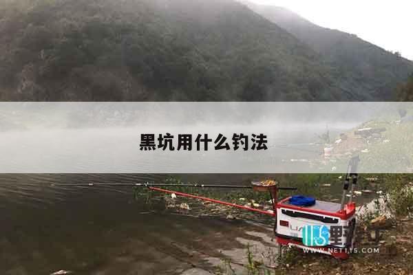 黑坑用什么钓法 