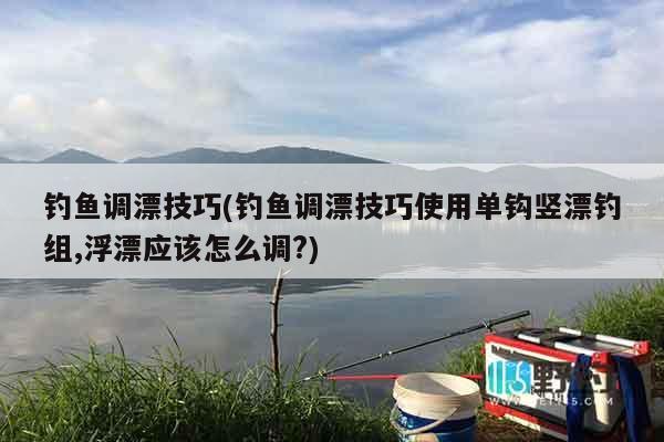 钓鱼调漂技巧(钓鱼调漂技巧使用单钩竖漂钓组,浮漂应该怎么调?)