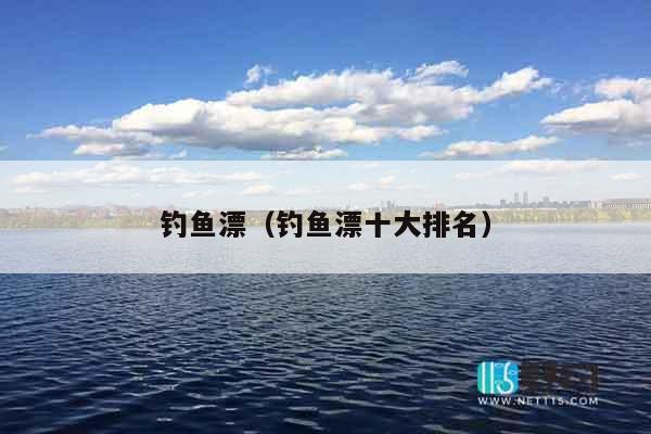 钓鱼漂（钓鱼漂十大排名）