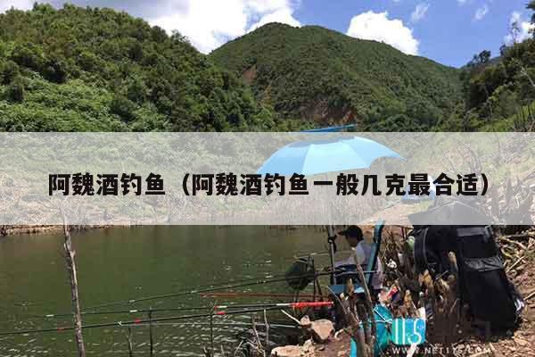 阿魏酒钓鱼（阿魏酒钓鱼一般几克最合适）