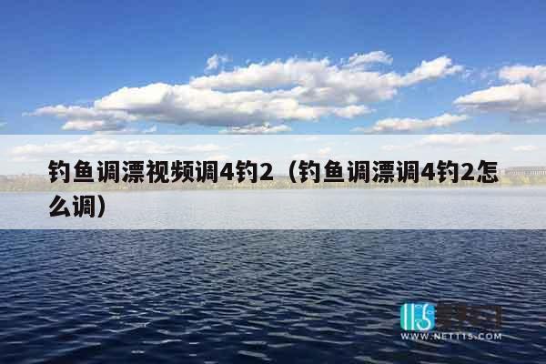 钓鱼调漂视频调4钓2（钓鱼调漂调4钓2怎么调）
