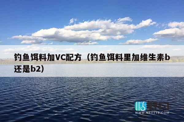 钓鱼饵料加VC配方（钓鱼饵料里加维生素b还是b2）