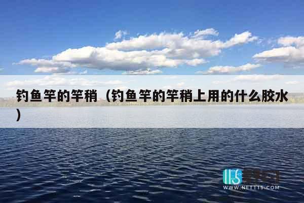 钓鱼竿的竿稍（钓鱼竿的竿稍上用的什么胶水）