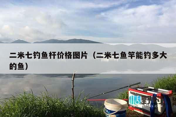 二米七钓鱼杆价格图片（二米七鱼竿能钓多大的鱼）