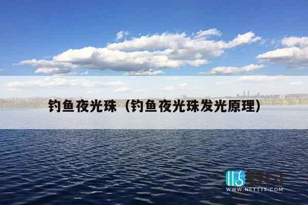 钓鱼夜光珠（钓鱼夜光珠发光原理）