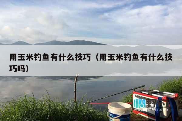 用玉米钓鱼有什么技巧（用玉米钓鱼有什么技巧吗）