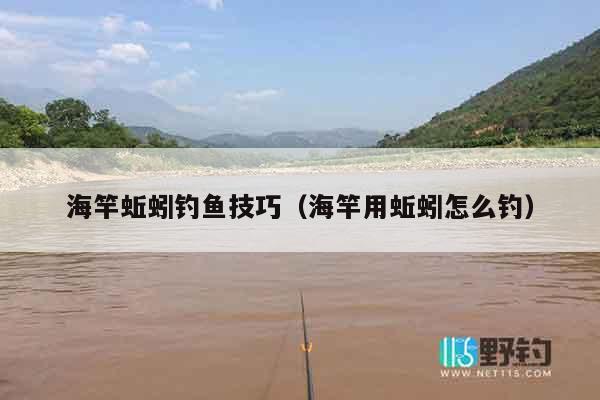 海竿蚯蚓钓鱼技巧（海竿用蚯蚓怎么钓）