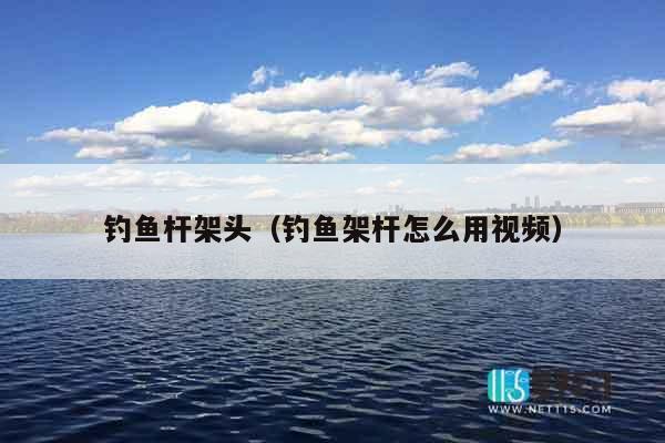 钓鱼杆架头（钓鱼架杆怎么用视频）
