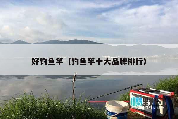 好钓鱼竿（钓鱼竿十大品牌排行）
