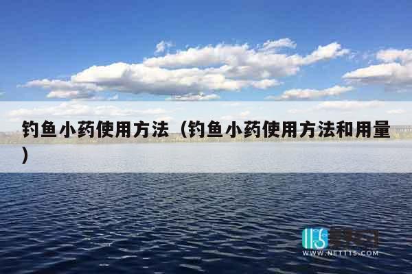 钓鱼小药使用方法（钓鱼小药使用方法和用量）