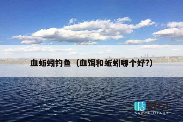 血蚯蚓钓鱼（血饵和蚯蚓哪个好?）