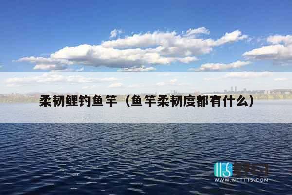 柔韧鲤钓鱼竿（鱼竿柔韧度都有什么）