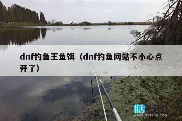 dnf钓鱼王鱼饵（dnf钓鱼网站不小心点开了）