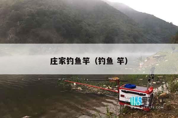 庄家钓鱼竿（钓鱼 竿）
