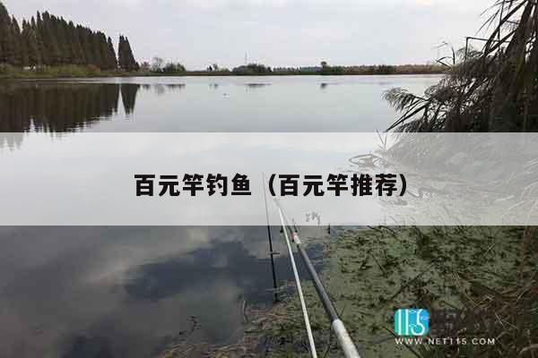 百元竿钓鱼（百元竿推荐）
