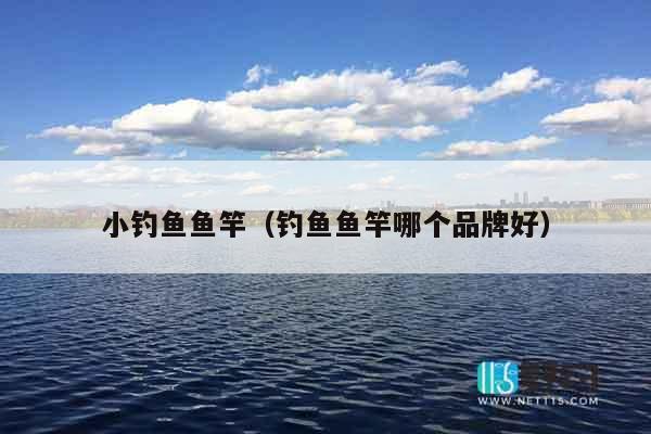 小钓鱼鱼竿（钓鱼鱼竿哪个品牌好）