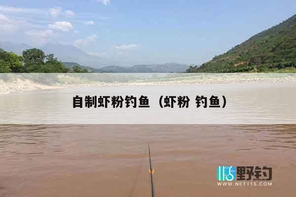 自制虾粉钓鱼（虾粉 钓鱼）
