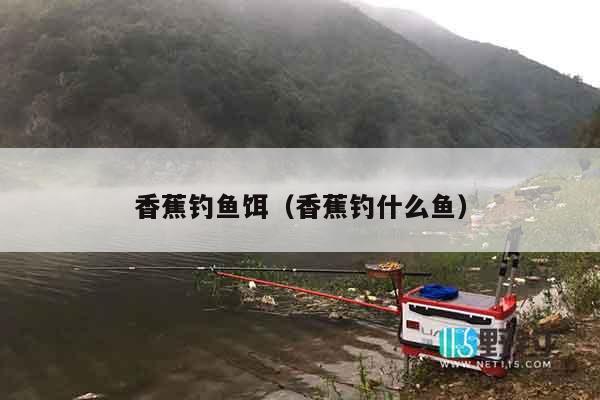 香蕉钓鱼饵（香蕉钓什么鱼）